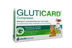Gluticard