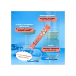 Goovi Taste Drain & Go Drenante Cranberry e Mandarino 24 Stick