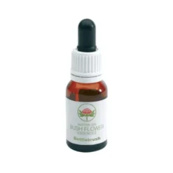 Green Remedies Bottlebrush aiuta ad accettare i cambiamenti della vita 15ml