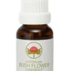 Green Remedies Flanner Flower Australian gocce 15ml