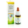 Guna Fiori di Bach Honeysuckle - Interesse nel presente N°16