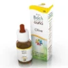 Guna Fiori di Bach Olive n.23 Forza fisica e mentale vitalità 10ml