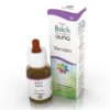 Guna Fiori di Bach Vervain Calma altruismo N°31