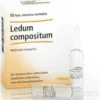 Guna Heel Ledum Compositum 10 fiale da 2,2ml