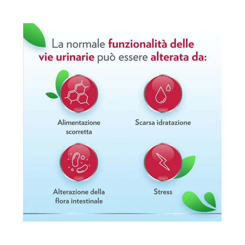 Gyno-CanesCystil Integratore Alto Dosaggio di D-Mannosio per Benessere Delle Vie Urinarie 14 bustine