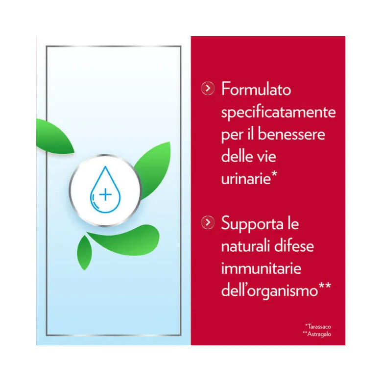 Gyno-CanesCystil Integratore Alto Dosaggio di D-Mannosio per Benessere Delle Vie Urinarie 14 bustine