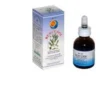 Herboplanet Ruscusol Liquido utile per l'apparato circolatorio 50ml