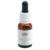 Hibbertia Gocce 15ml