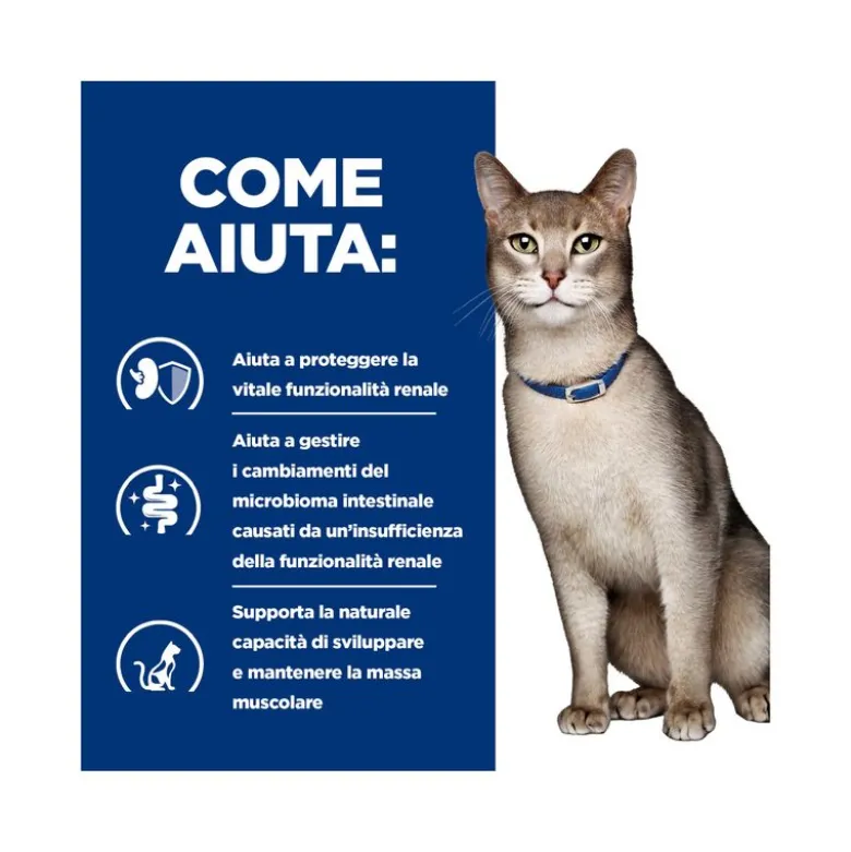 Hill's Prescription Diet K/d Alimento Per Gatti Con Pollo 3kg