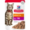 Hill's Science Plan Umido Gatto Adult Manzo Bustina 85g
