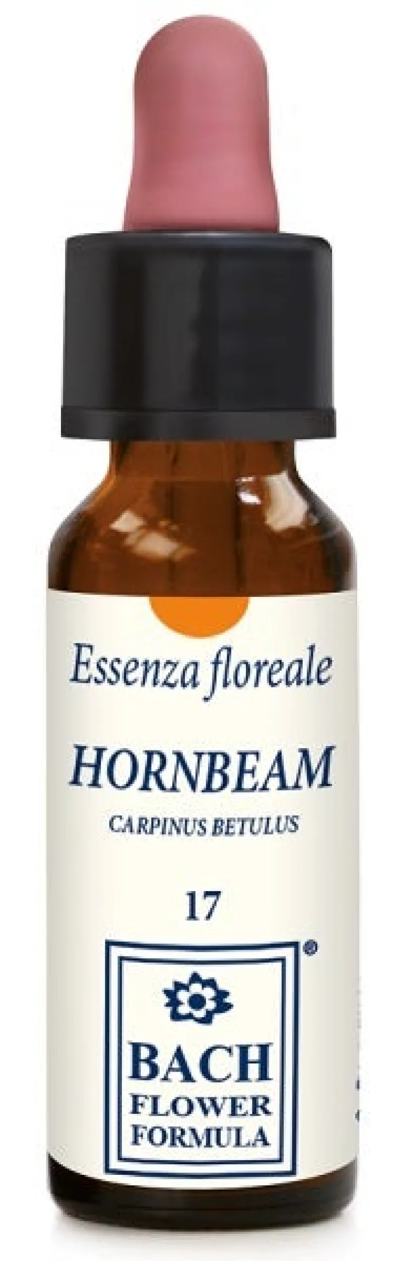 HORNBEAM
