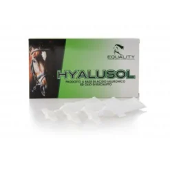 Hyalusol Aerosol Ambientale Per Equini 10 Flaconi Monodose Da 8ml