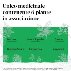 Iberogastadvance Gocce Orali Liquido 1 Flacone in Vetro da 100 ml con Applicatore Contagocce
