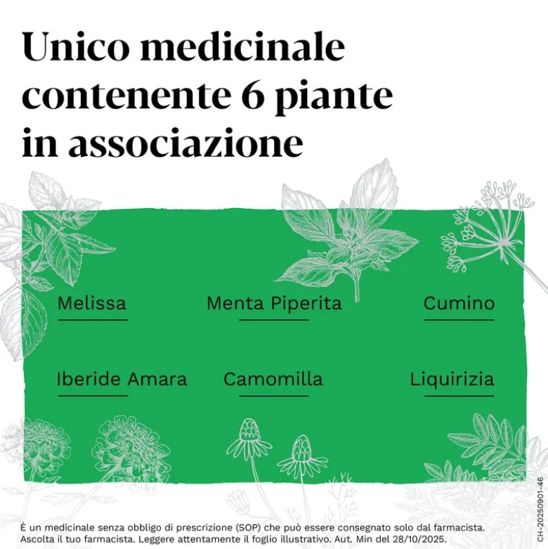 Iberogastadvance Gocce Orali Liquido 1 Flacone in Vetro da 100 ml con Applicatore Contagocce