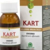 KART