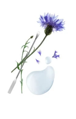 Klorane Bagno d'idratazione Notte al Fiordaliso BIO e acido ialuronico di origine vegetale 50ml