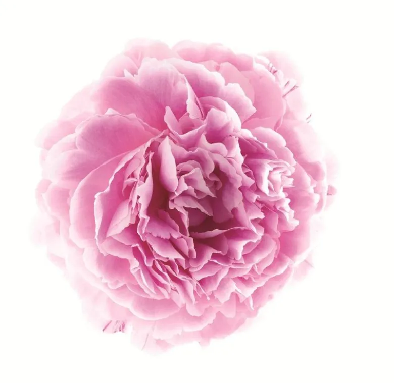 Klorane Cofanetto Peonia d'Oriente