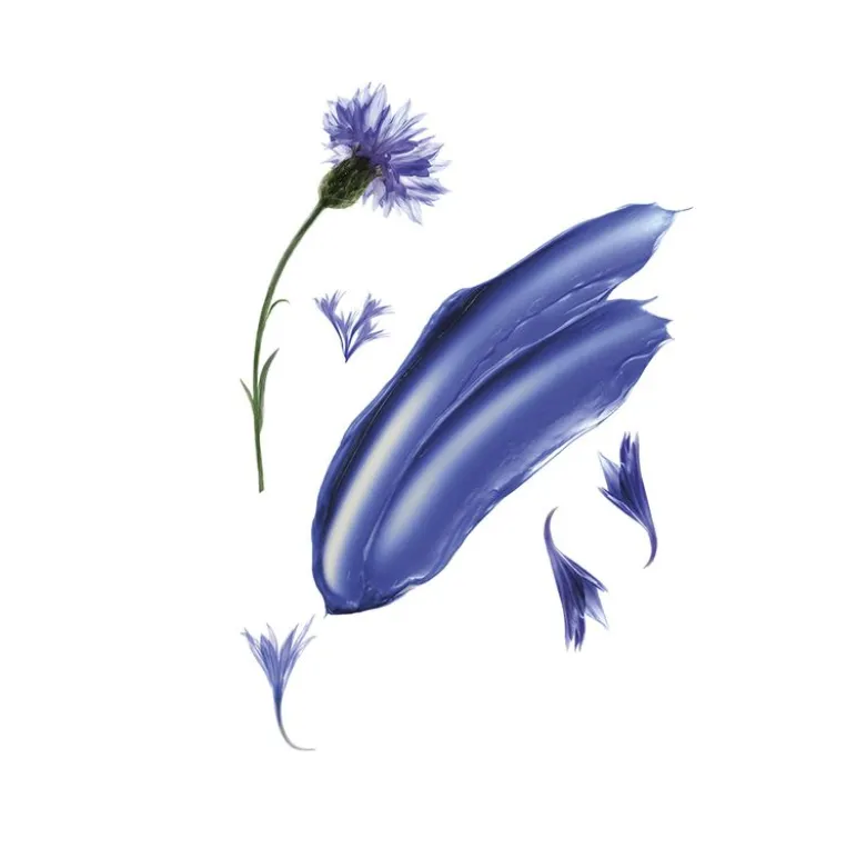 Klorane Shampoo alla Centaurea BIO anti-ingiallimento 200ml