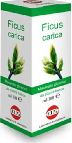 Kos Ficus Carica macerato glicerico gocce 100ml