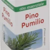 KOS Pino Pumilio