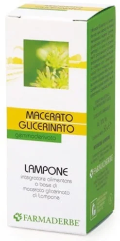 LAMPONE