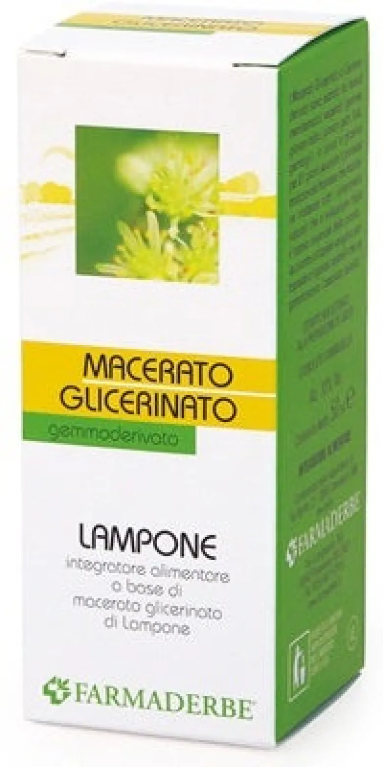 LAMPONE