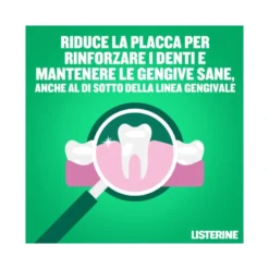 Listerine Difesa Denti e Gengive gusto menta fresca 500ml