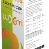 LUXEMICEF