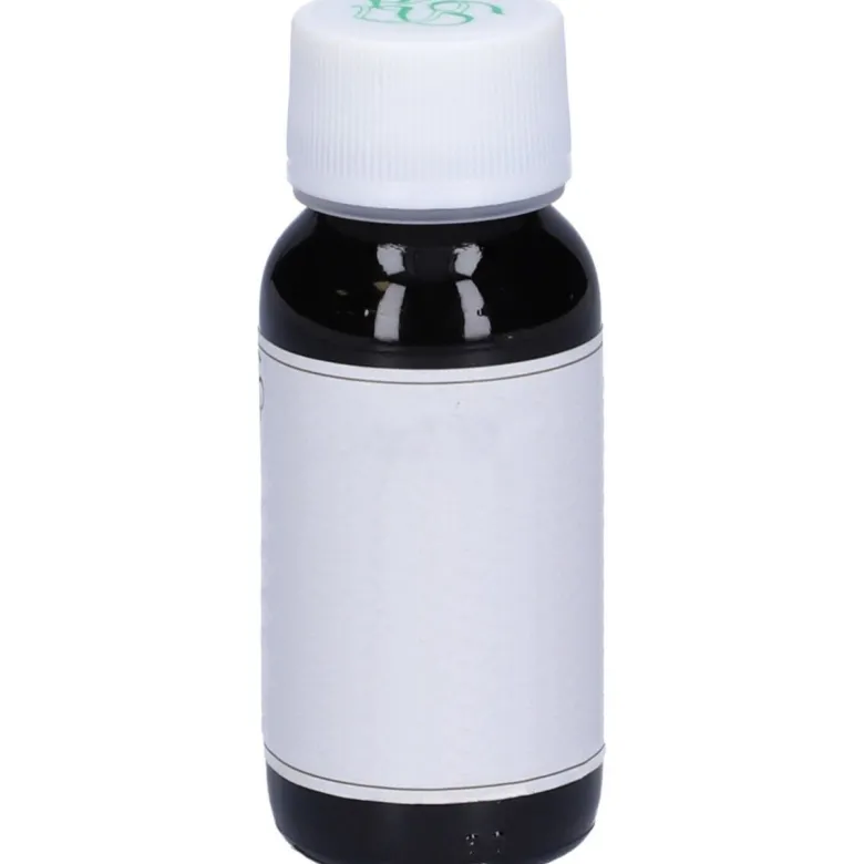 LVS 19N Alchemilla Vulgar Compositum 60ml