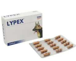 Lypex Integratore Animali Domestici 60 Capsule Digestione Sana