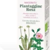 MACERATO Piantaggine Rosa Plantago lanceolata L. Rosa canina L. Calendula arvensis L.