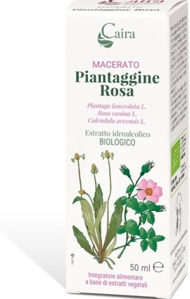 MACERATO Piantaggine Rosa Plantago lanceolata L. Rosa canina L. Calendula arvensis L.