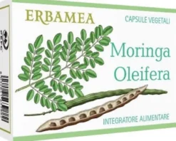 MORINGA OLEIFERA
