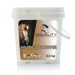 Muscle Bone