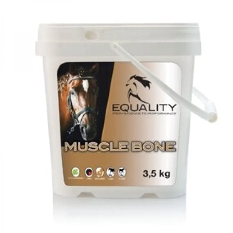 Muscle Bone