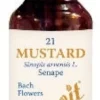 MUSTARD