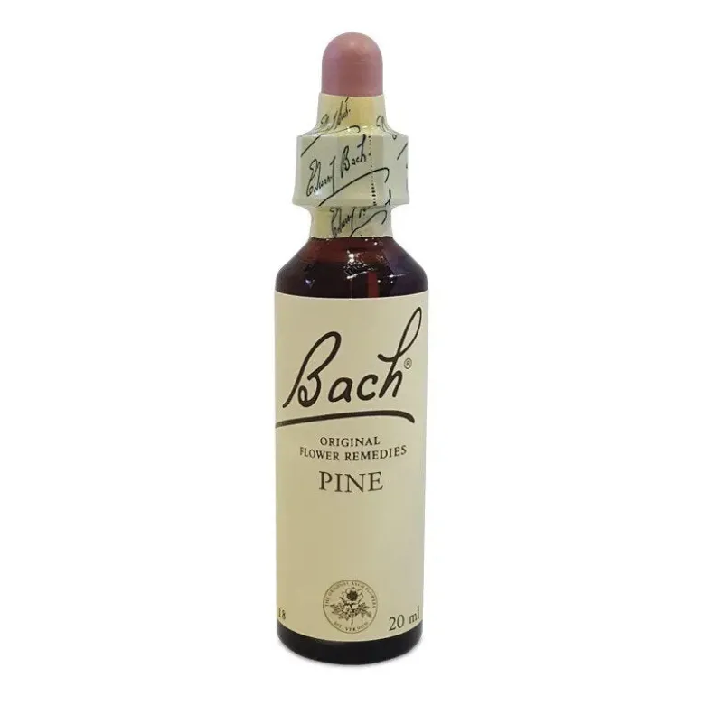 Natur Fiori Di Bach Bach Center Rock Pine 20ml