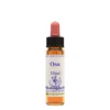 Natur Fiori Di Bach Healing Herbs Oak 10ml