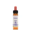 Natur Fiori Di Bach Healing Herbs Gorse 10ml