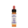 Natur Fiori Di Bach Healing Herbs White Chestnut 10ml