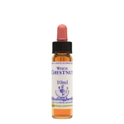 Natur Fiori Di Bach Healing Herbs White Chestnut 10ml