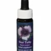 Natur Star Tulip Fiore Californiano Essenza 7,5ml