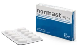 Normast 600 20 compresse