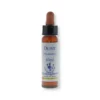 OLIVE ESSENZA 10ML
