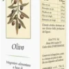 OLIVO