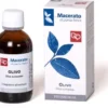 Olivo Tintura Madre Bio 50ml