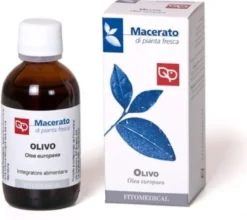 Olivo Tintura Madre Bio 50ml