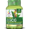 Optima Colours of Life Integratore Thè Verde EGCG 60 capsule