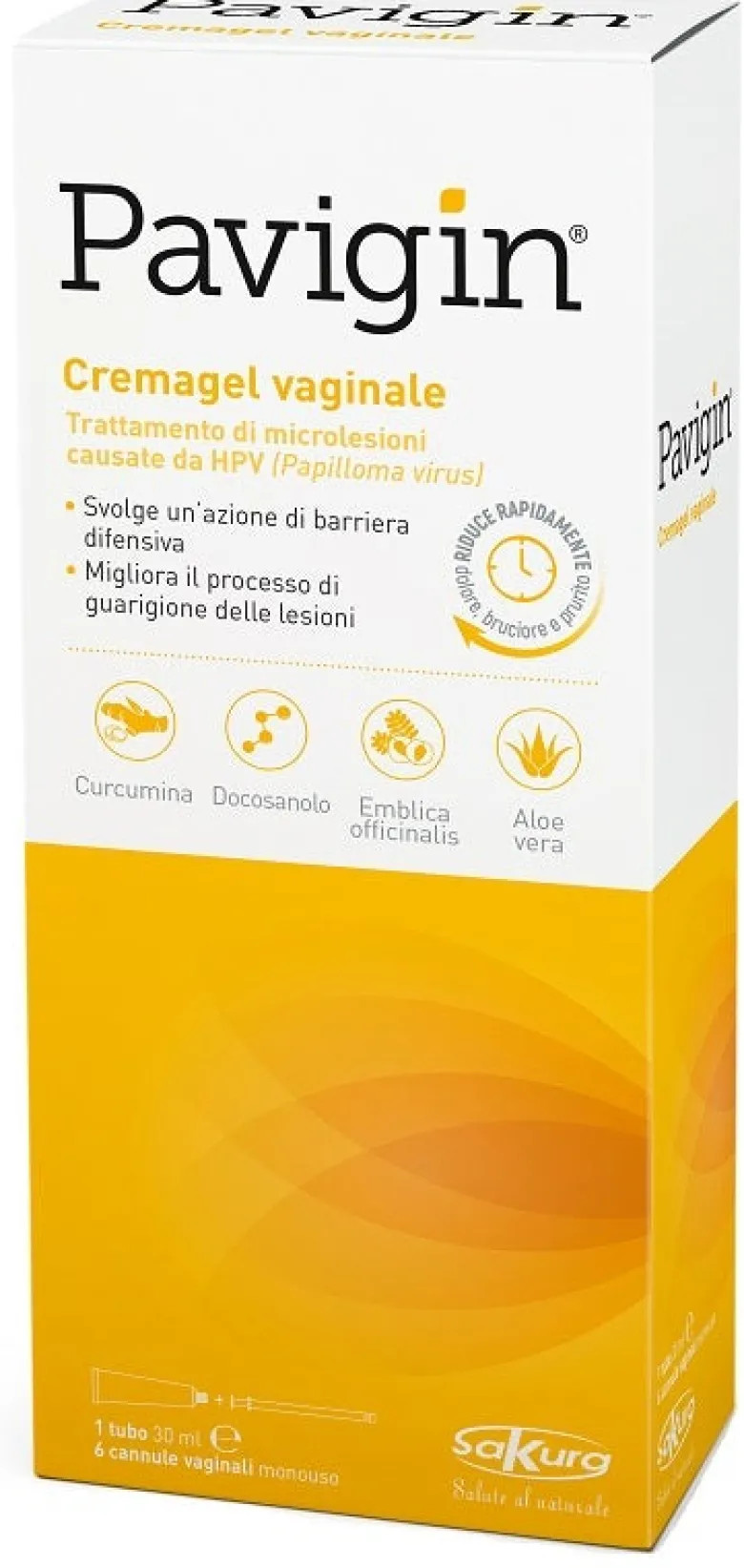Pavigin Cremagel Vaginale 30 ml con 6 Cannule Vaginali Monouso