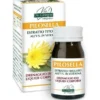 PILOSELLA